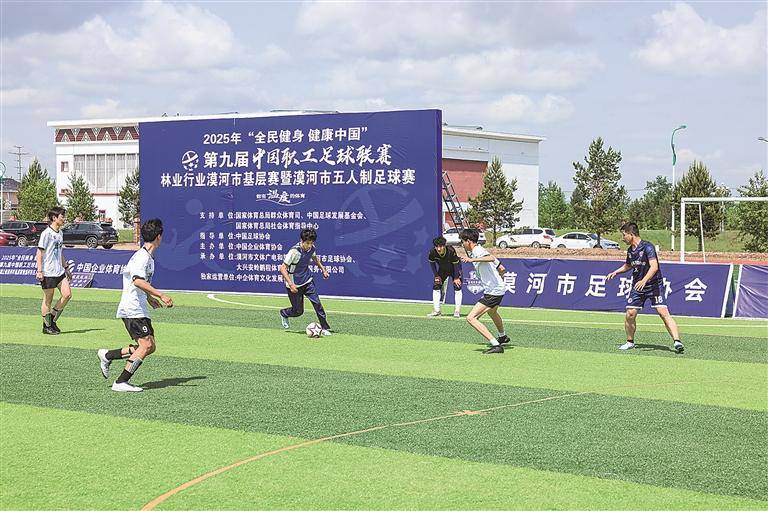 激情赛场！国内足球职业联赛精英
